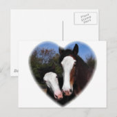 Carte Postale Clydesdales au coeur (Devant / Derrière)