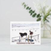 CARTE POSTALE CLYDESDALES DANS LA NEIGE (Debout devant)