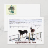 CARTE POSTALE CLYDESDALES DANS LA NEIGE (Devant / Derrière)