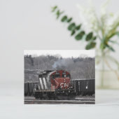 CARTE POSTALE CN 4131 (Debout devant)