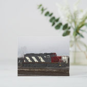 CARTE POSTALE CN 4231 (Debout devant)