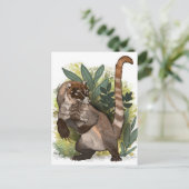 Carte Postale Coatamundi ou Coati noir blanc (Debout devant)