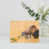 Carte Postale cobaye (Debout devant)