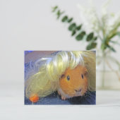 Carte Postale cobaye avec perruque (Debout devant)