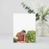 Carte Postale cobaye dans un panier de légumes (Debout devant)
