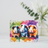 Carte Postale Cobayes mignons aux éclaboussures de couleur, sur  (Debout devant)