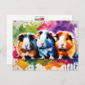 Carte Postale Cobayes mignons aux éclaboussures de couleur, sur  (Devant / Derrière)