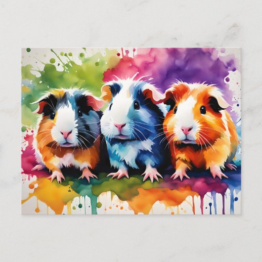 Carte Postale Cobayes mignons aux éclaboussures de couleur, sur (Devant)