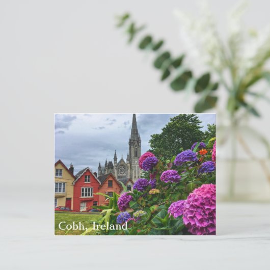Carte Postale Cobh Ireland, Hydrangeas (Debout devant)