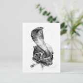 Carte postale COBRA (Debout devant)