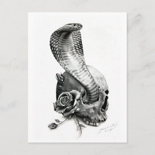 Carte postale COBRA (Devant)