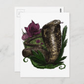 Carte Postale Cobra (Devant / Derrière)