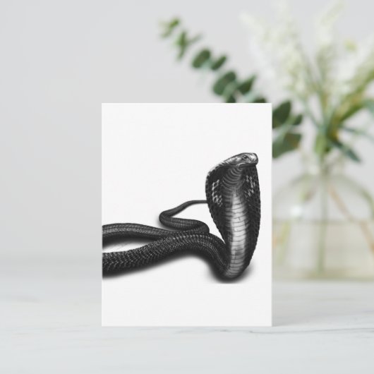 Carte Postale Cobra (Debout devant)