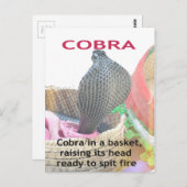 Carte Postale Cobra dans le panier Imprimer (Devant / Derrière)