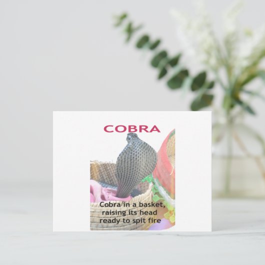 Carte Postale Cobra dans le panier Imprimer (Debout devant)