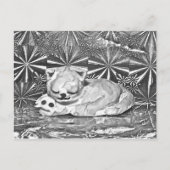 Carte Postale Cobweb + Crabfren (Devant)