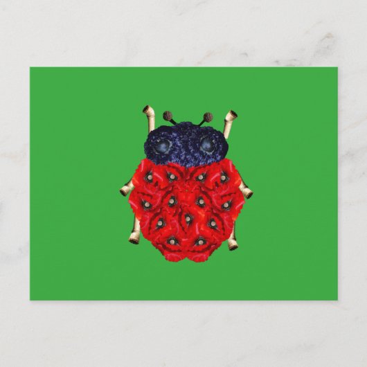 Carte Postale Coccinelle (Devant)