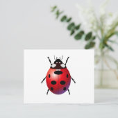 Carte Postale coccinelle (Debout devant)