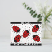 CARTE POSTALE COCCINELLE (Debout devant)