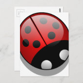 Carte Postale Coccinelle (Devant / Derrière)