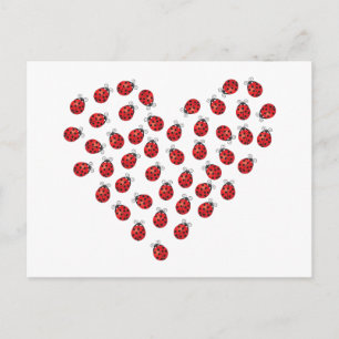 Carte Postale Coccinelle Amour Coeur