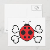 Carte Postale Coccinelle Crâne et Os (Devant / Derrière)