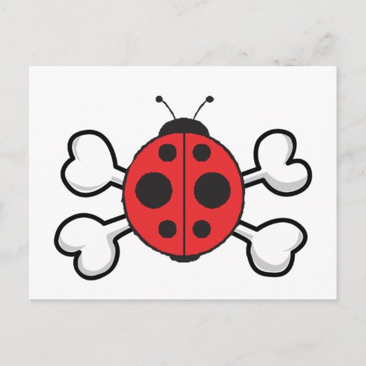 Carte Postale Coccinelle Crâne et Os (Devant)