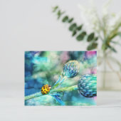 Carte Postale Coccinelle fantastique (Debout devant)