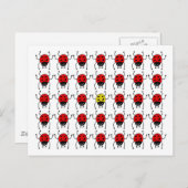 Carte Postale coccinelle perdue (Devant / Derrière)