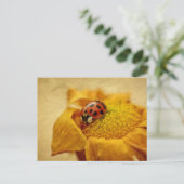 Carte Postale Coccinelle sur fleur jaune (Debout devant)