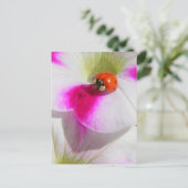Carte Postale Coccinelle sur le pétunia (Debout devant)