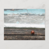 Coccinelle sur un appui de fenêtre en bois rustiqu