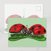 Carte Postale Coccinelles (Devant / Derrière)