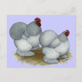 Carte Postale Cochin :  Auto bleu (Devant)