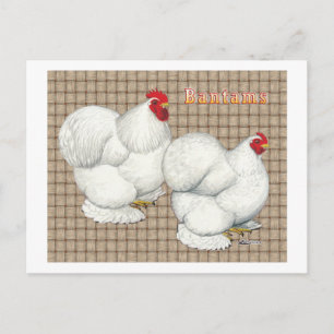 Carte Postale Cochin :  Bantams blancs
