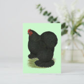 Carte Postale Cochin : Hen noir (Debout devant)