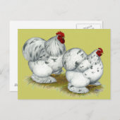 Carte Postale Cochin :  Splash Bantams (Devant / Derrière)