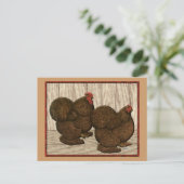 Carte Postale Cochines : Bantams rouges texturés (Debout devant)