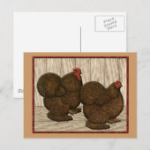 Carte Postale Cochines : Bantams rouges texturés (Devant / Derrière)