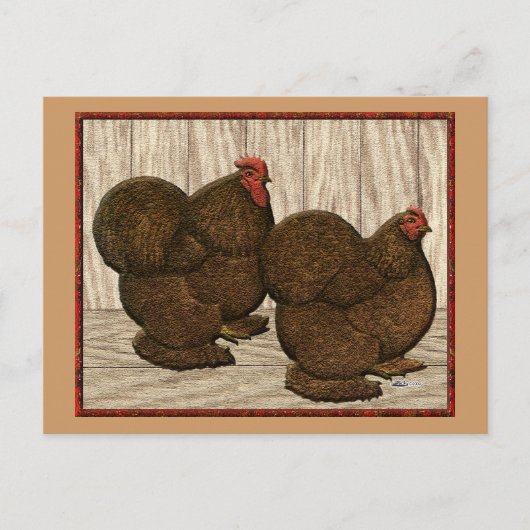 Carte Postale Cochines : Bantams rouges texturés (Devant)