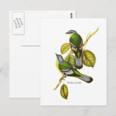 Carte Postale Cochoa vert (Devant / Derrière)