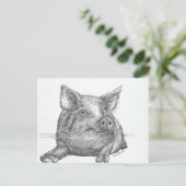 Carte Postale Cochon (Debout devant)