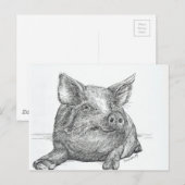Carte Postale Cochon (Devant / Derrière)