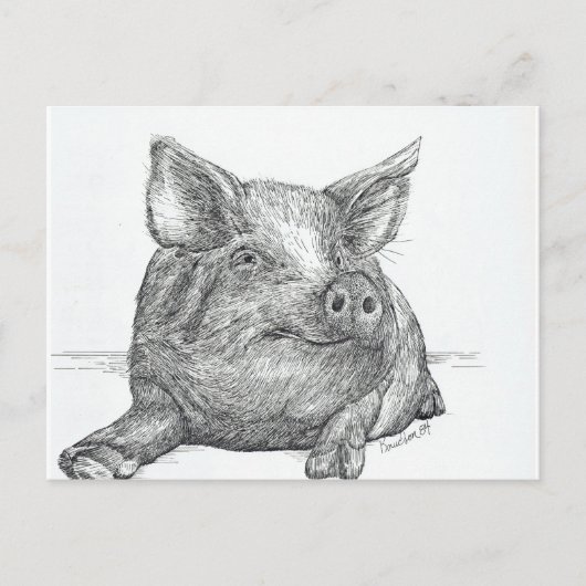 Carte Postale Cochon (Devant)