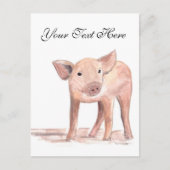 Carte Postale Cochon bébé porcelet Animal Aquarelle Ferme Mignon (Devant)