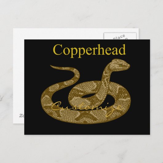 Carte Postale Cochon couleuvres cuivrées Thunder_Cove (Devant / Derrière)