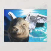 Carte Postale Cochon d'ange (Devant)