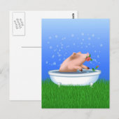 Carte Postale Cochon dans le bain (Devant / Derrière)