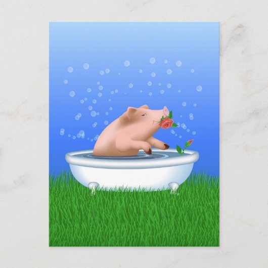 Carte Postale Cochon dans le bain (Devant)