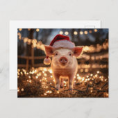 Carte Postale Cochon dans un chapeau de Père Noël (Devant / Derrière)